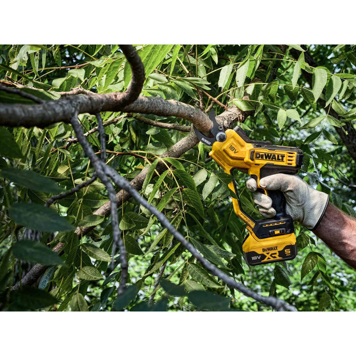 Dewalt DCMPP568P1 18V XR Pruner 1 x 5.0Ah Li-ion Battery & DCB115 Charger
