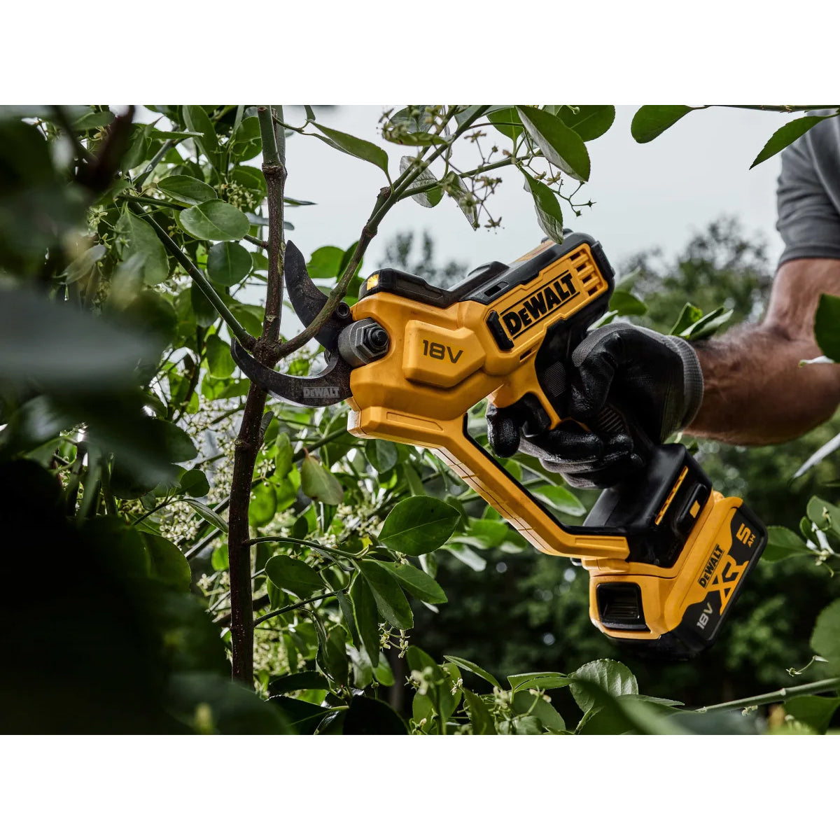 Dewalt DCMPP568P1 18V XR Pruner 1 x 5.0Ah Li-ion Battery & DCB115 Charger